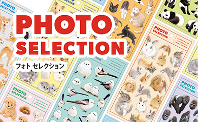 フォトセレクション