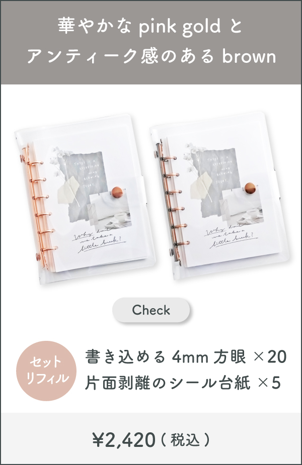 Bine比較画像-02