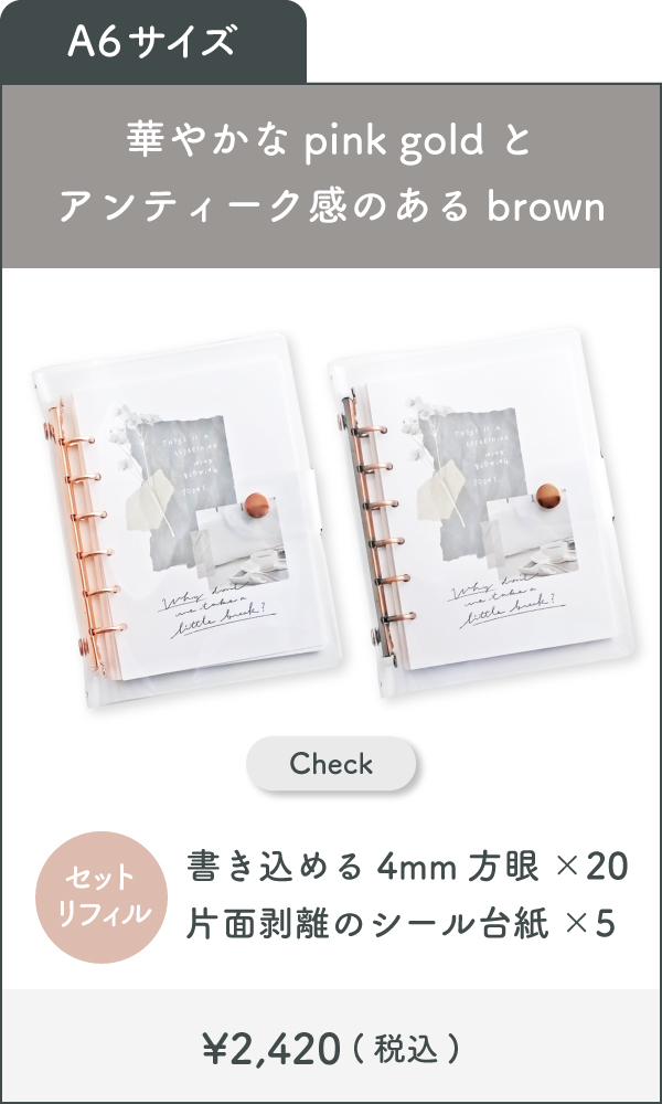 Bine比較画像-02
