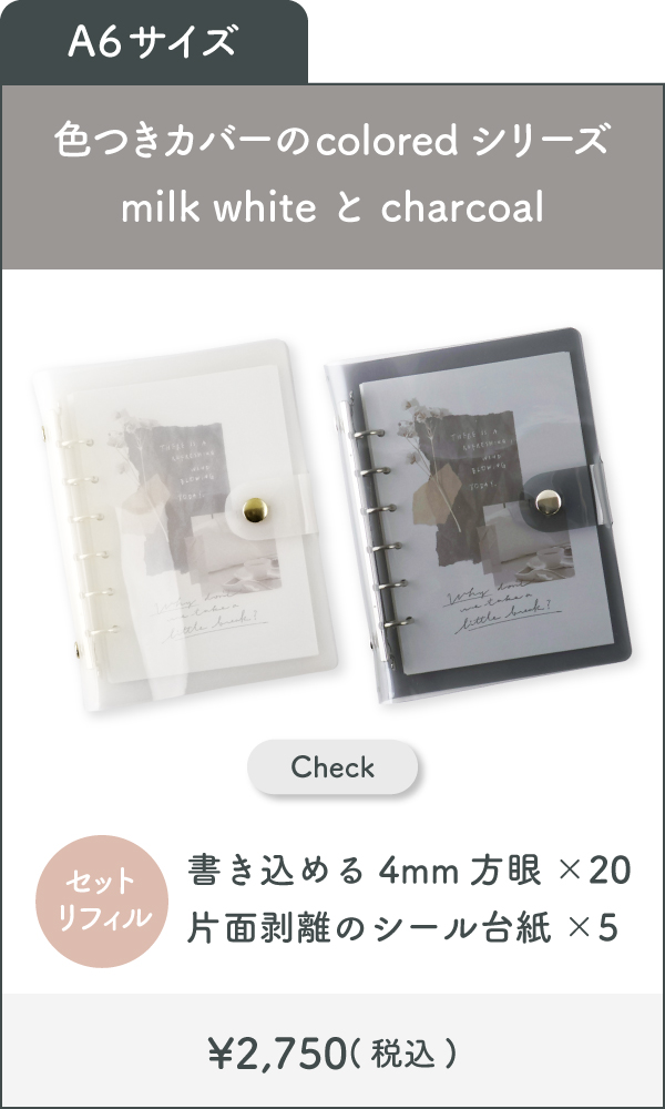 Bine比較画像-03