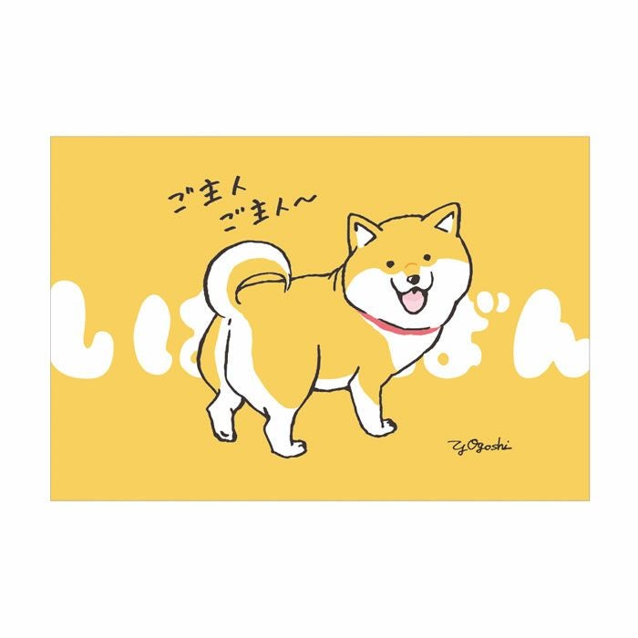 Tomo.N A4クリアファイル 57707 うさぎのムーちゃん トイ | マインド