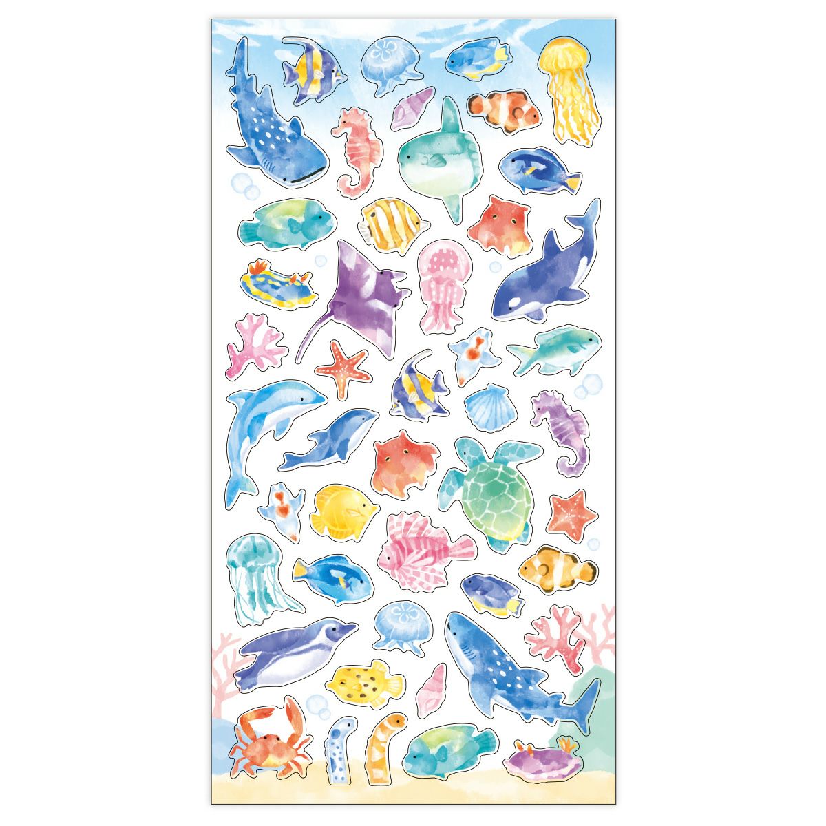 サマーセレクション クリア 水族館 | マインドウェイブオンラインストア