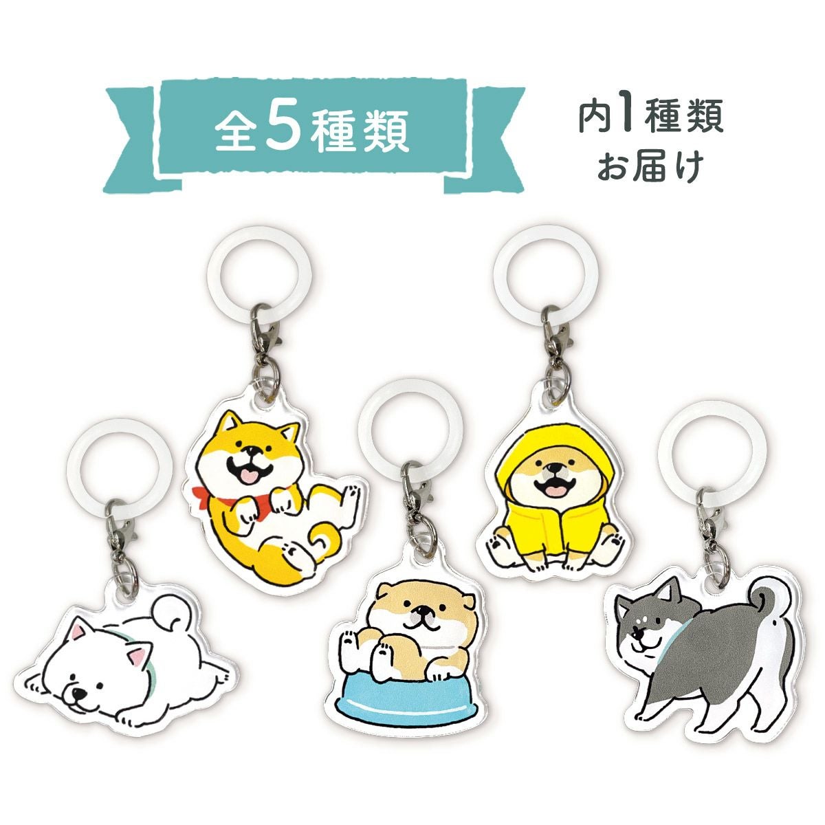 櫻坂46 めじるしチャーム　10セット 商品詳細ページ | 櫻坂46 OFFICIAL GOODS STORE | 【通常配送】櫻坂46
