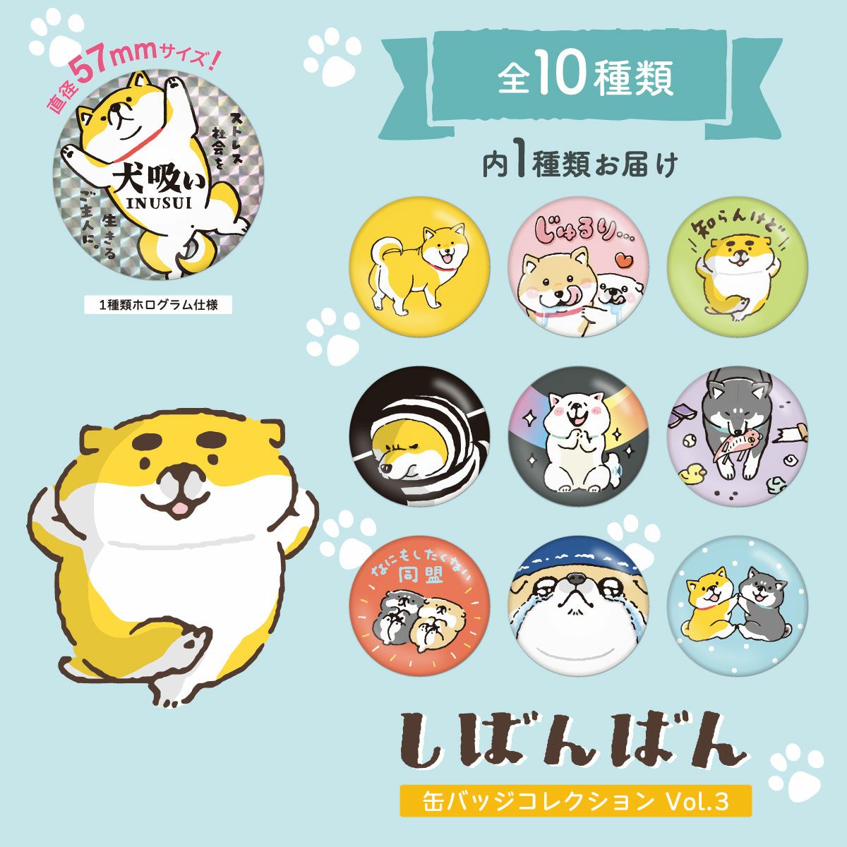 オンラインストア＆催事限定 しばんばん10周年 ステッカー 大 おいわい 