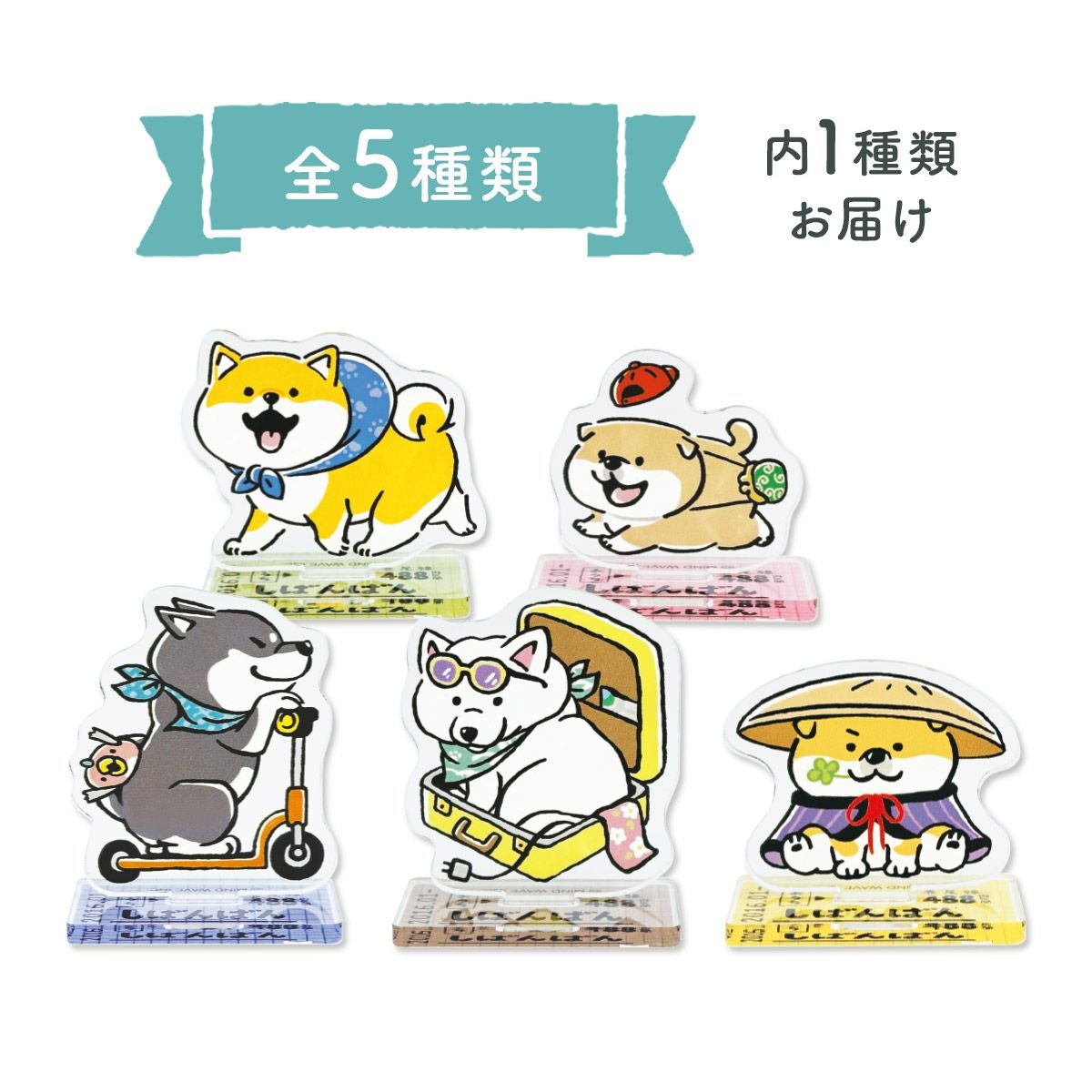ごろごろにゃんすけ ポチ袋 サスペブルー | マインドウェイブ